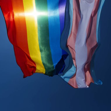 Eşcinsel gurur bayrağının yakın çekimi ve mavi gökyüzünde sallanan transseksüel gurur bayrağı, rüzgarla hareket ediyor, arka planda güneş var.