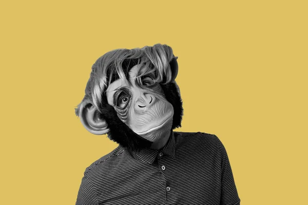 Man Wearing Monkey Mask Wig Black White Yellow Background Some — Stock Photo, Image