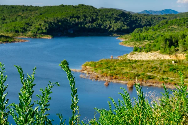Uma Vista Sobre Rio Gaia Reservatório Catllar Catllar Província Tarragona — Fotografia de Stock