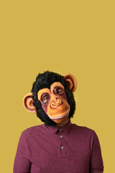 黄色い背景に猿のマスクをした男が — ストック写真