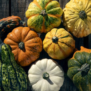 Farklı şekil ve renklere sahip farklı balkabaklarının kırsal ahşap bir yüzey üzerindeki yüksek açılı görüntüsü