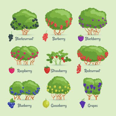 Bahçe çalılar ayarlayın. Çizgi film berry çalılar görüntüleri. Vektör çizim