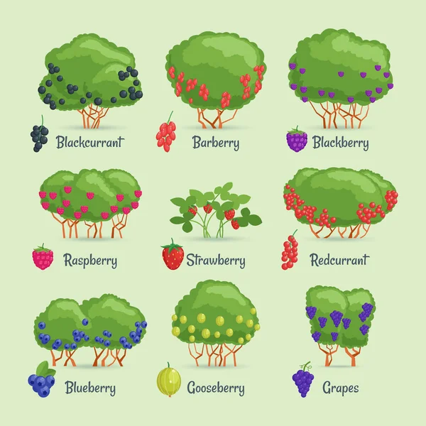 Садовые Кусты Установлены Карикатурные Изображения Ягодные Кусты Векторная Иллюстрация — стоковый вектор