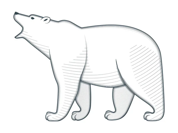 Roaring rizzly Bear — Stockvector