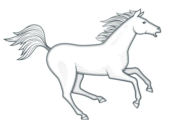 Galloping horse vector illustration — Stock Vector