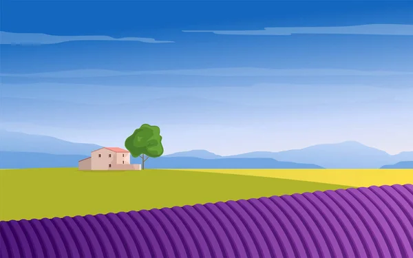 普罗旺斯的风景 春夏时节的农村 薰衣草地 高山和房屋 矢量说明 — 图库矢量图片