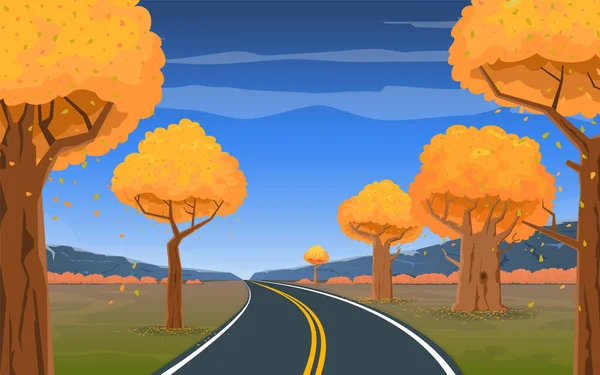 道路は美しい秋の風景を背景に森の中の距離に入ります — ストック写真