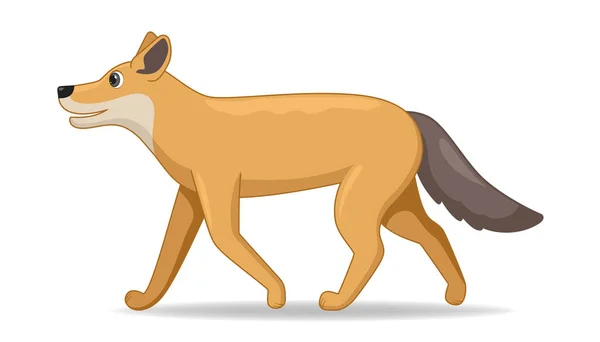 Coyote Animal Pie Sobre Fondo Blanco Dibujos Animados Estilo Vector — Archivo Imágenes Vectoriales