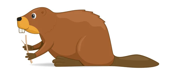 Beaver Animal Sobre Fundo Branco Desenhos Animados Estilo Ilustração Vetorial —  Vetores de Stock