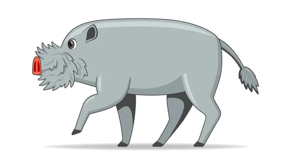 婆罗洲长胡子的猪 站在白色的背景上 卡通风格矢量插图 — 图库矢量图片