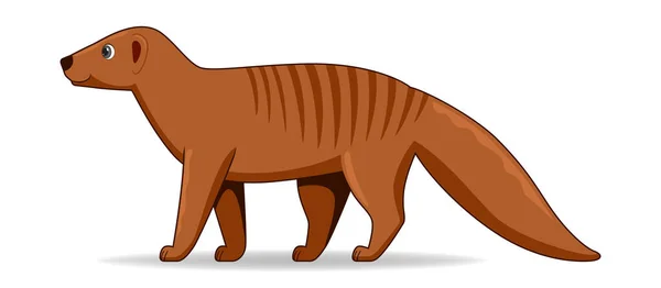 Mongoose Animal Debout Sur Fond Blanc Illustration Vectorielle Style Dessin — Image vectorielle