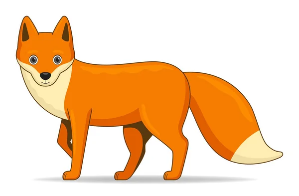 Red Fox Animal Standing White Background Cartoon Style Vector Illustration — Stock Vector