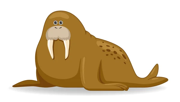 Walrus Dier Een Witte Achtergrond Cartoon Stijl Vector Illustratie — Stockvector