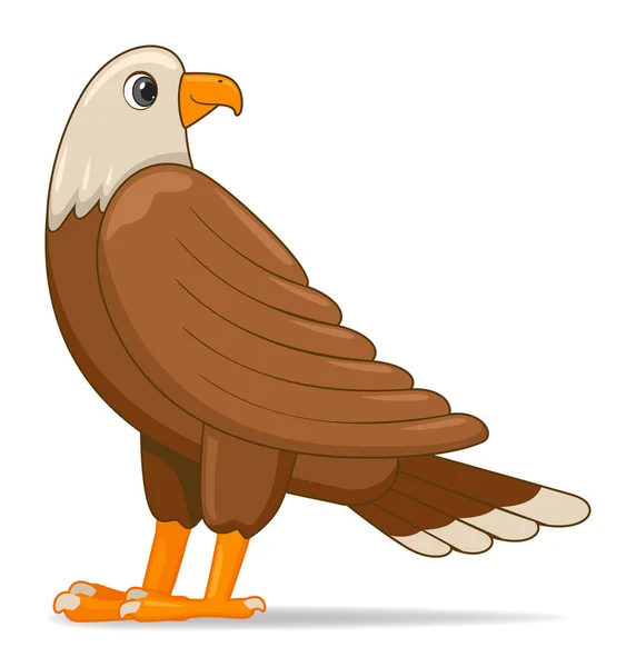 Pájaro Águila Calva Sobre Fondo Blanco Dibujos Animados Estilo Vector — Vector de stock