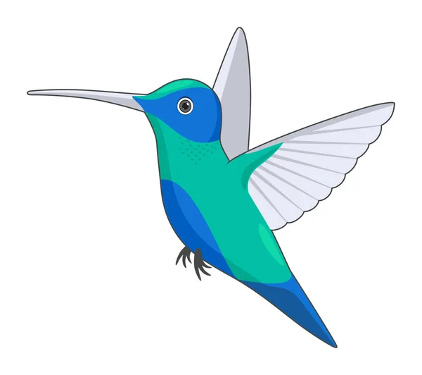 Colibrì Sfondo Bianco Illustrazione Vettoriale Stile Cartone Animato — Vettoriale Stock