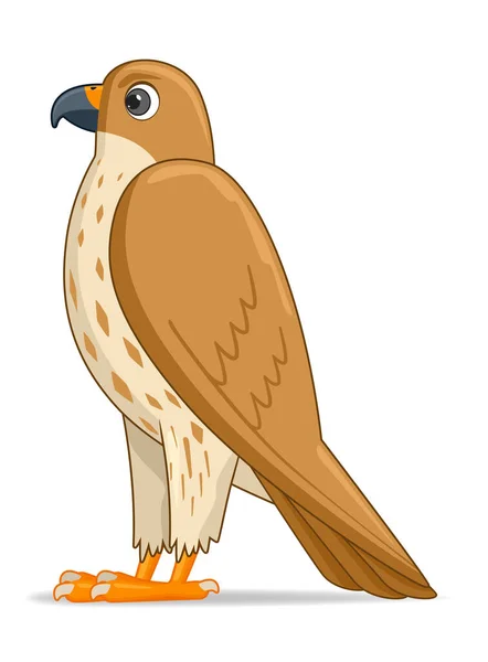 Saker Halcón Pájaro Sobre Fondo Blanco Dibujos Animados Estilo Vector — Archivo Imágenes Vectoriales