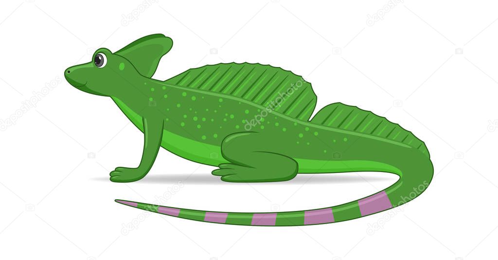 Basilisk lizard animal standing on a white background. Cartoon style vector illustration