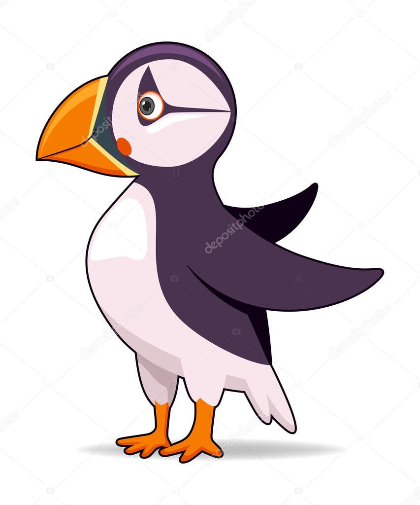 Puffin bird on a white background. Cartoon style vector illustration