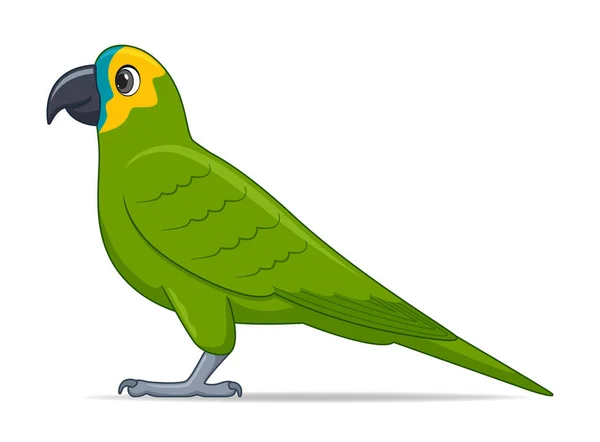 Pájaro Loro Amazónico Sobre Fondo Blanco Dibujos Animados Estilo Vector — Vector de stock