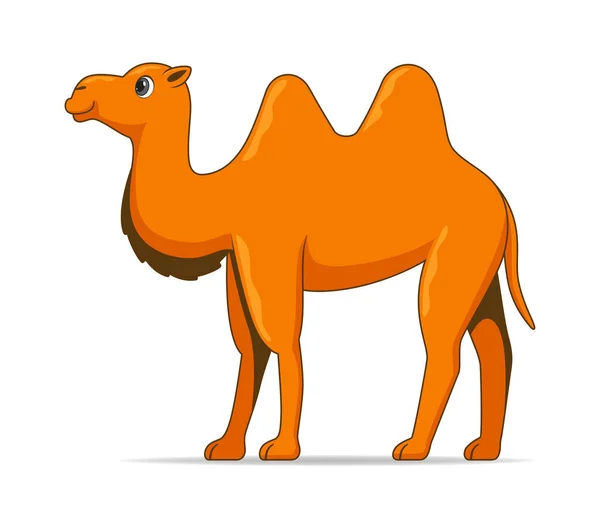 Camello Asiático Pie Sobre Fondo Blanco Dibujos Animados Estilo Vector — Archivo Imágenes Vectoriales