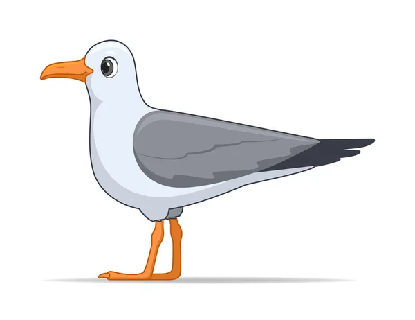 Laridae Vogel Auf Weißem Hintergrund Vektorillustration Cartoon Stil — Stockvektor