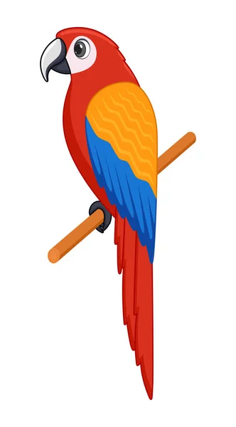 Pájaro Guacamayo Sobre Fondo Blanco Dibujos Animados Estilo Vector Ilustración — Archivo Imágenes Vectoriales