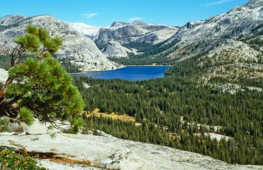 Yosemite Ulusal Parkı, Kaliforniya 'daki Tenaya Gölü