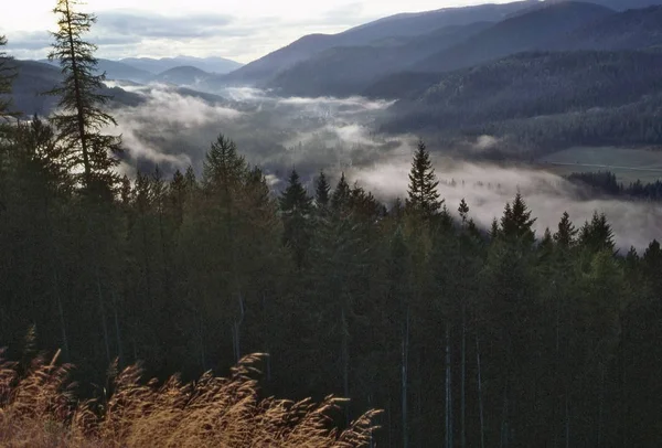 Völgyben Köd Hegység — Stock Fotó