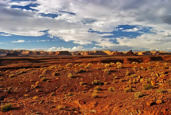 Desierto, Nuevo México — Foto de Stock