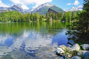 Yüksek Tatra Dağları 'nda Göl, Slovakya