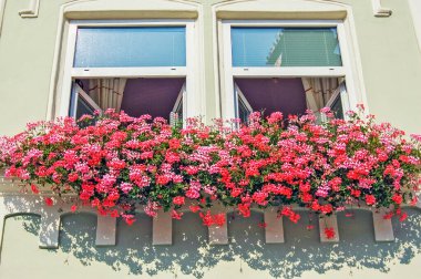 Levoca, Slovakya 'da çiçekli pencereler