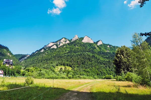 Τρεις Κορώνες Ορεινό Όγκο Στην Pieniny Βουνό Πολωνία — Φωτογραφία Αρχείου