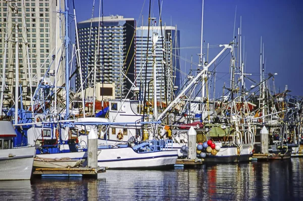 Port Avec Des Bateaux Pêche San Diego — Photo