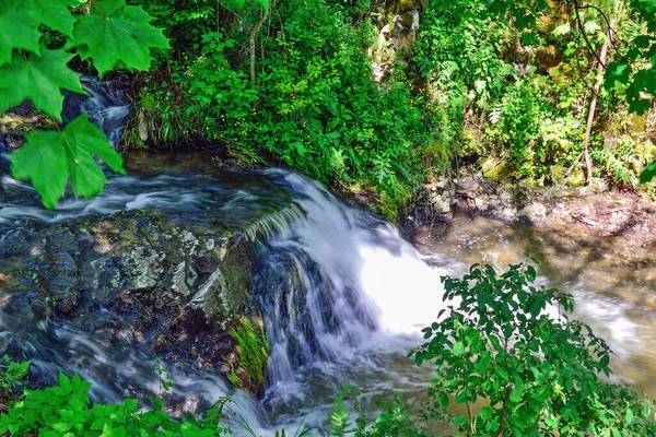Creek Con Cascadas Slovak Paradise — Foto de Stock