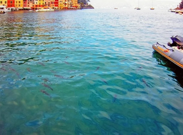 Kikötő Portofino Olaszország — Stock Fotó