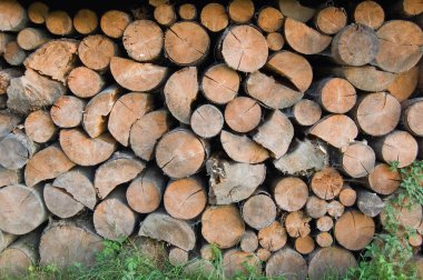 Arka bahçede kütük yığını