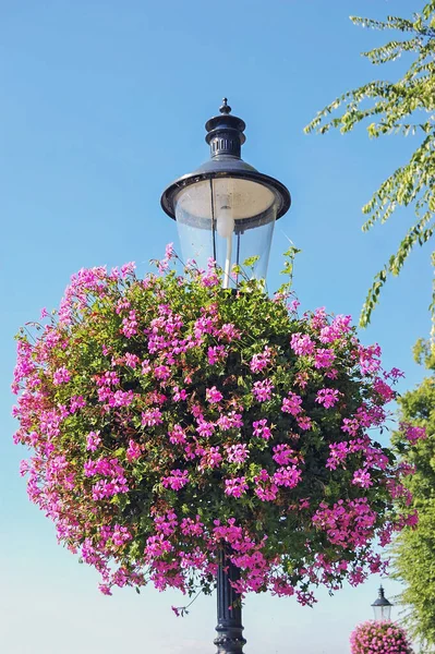 Street Light in Park by River Danube in Bratislava, Slovakia