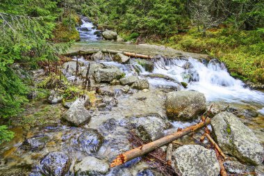 Slovakya 'daki Yüksek Tatra Dağları Deresi