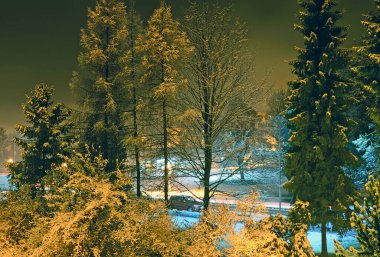 Geceleri kış kasabası