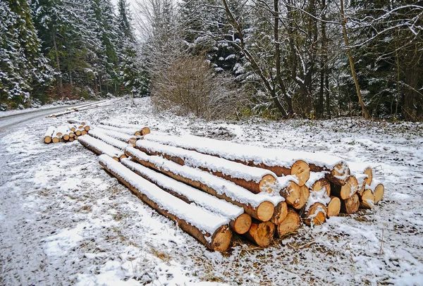 Forest road in winter with logs