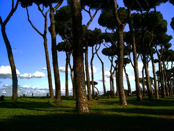 Roma şehir parklarından birinde