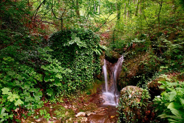 İlk denemelerim orman parkta yaşadığım birçok şelaleler birini kullanarak uzun pozlama alın birini.