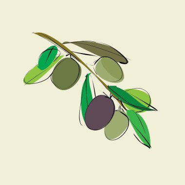 yaprakları ve bej renkli arka plan üzerinde zeytin dalı