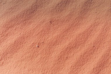 Çöl kum doku, pembe renkli, Wadi Rum çölünde, Jordan, duvar kağıdı ve arka plan doku için kavram öğrendim.