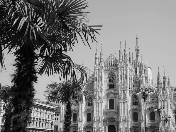 Миланский Собор Пальмами Милане Италия Черно Белом Цвете — стоковое фото