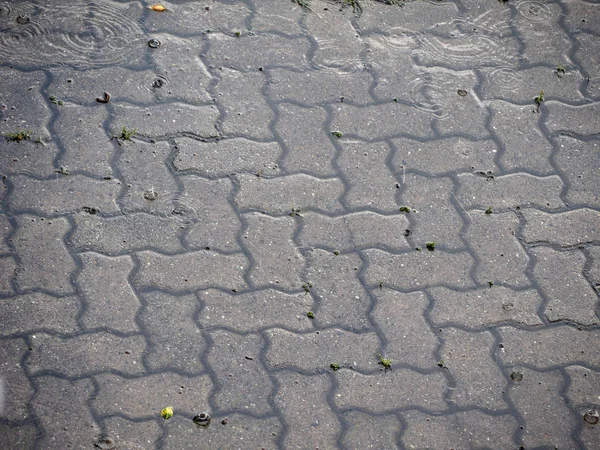 Goccioline Acqua Piovana Sul Pavimento Piastrellato Utile Come Sfondo — Foto Stock