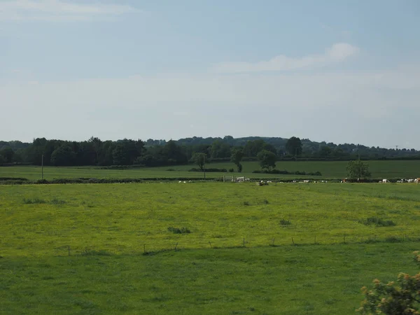 Blick Auf Die Landschaft Der Nähe Von Belfast — Stockfoto