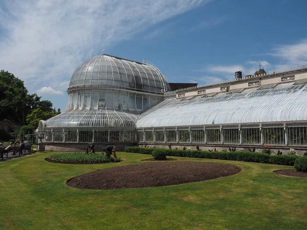 Belfast, İngiltere - Haziran 2018 yaklaşık: Palm evde Botanik Bahçeleri