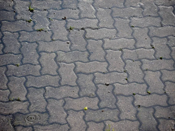 Rain Water Droplets Tiled Pavement Floor Useful Background — Stock Photo, Image
