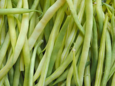 yeşil string ek fasulye baklagiller sebze vejetaryen yemek